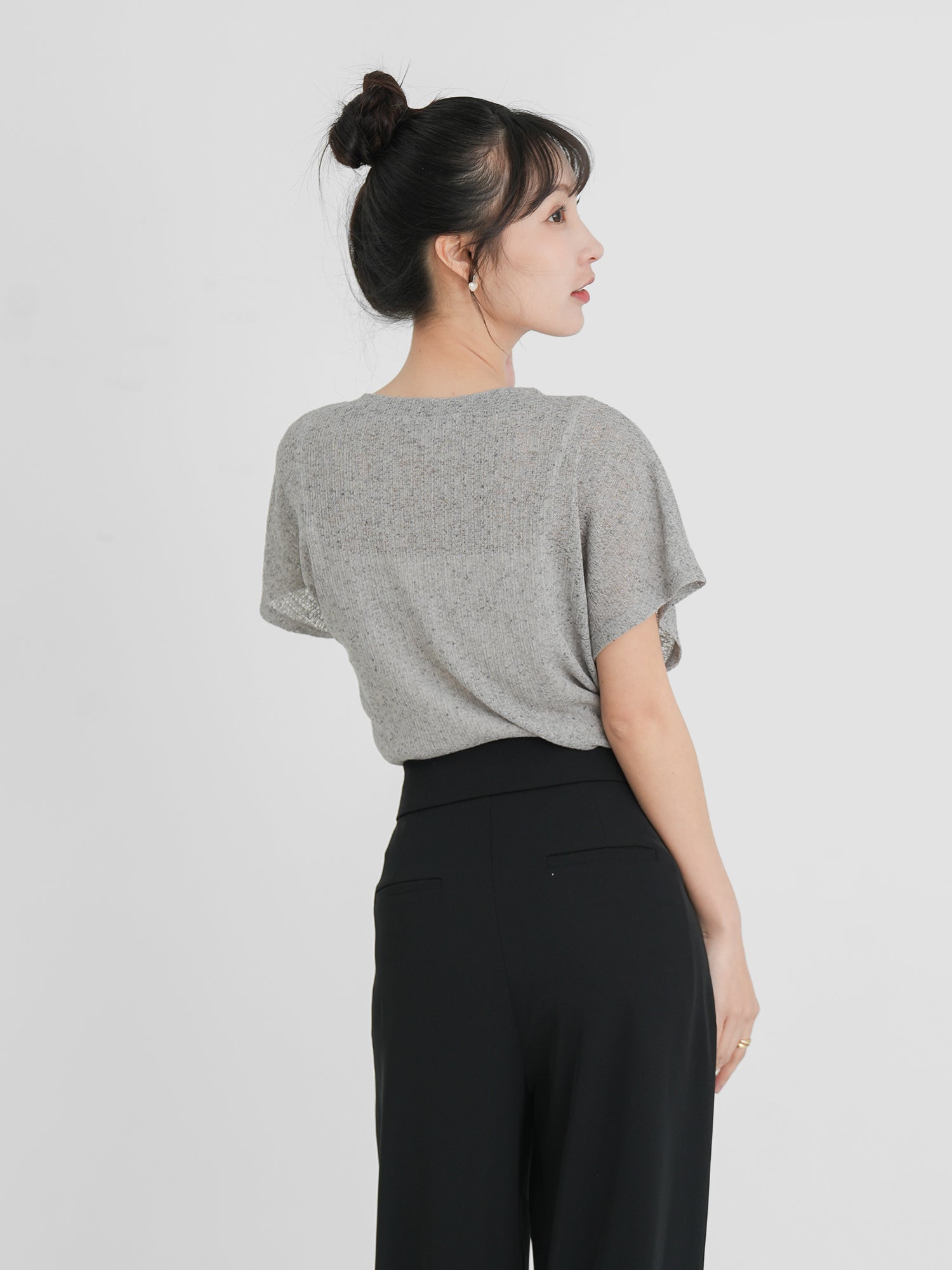 Semi Sheer V-Neck Top