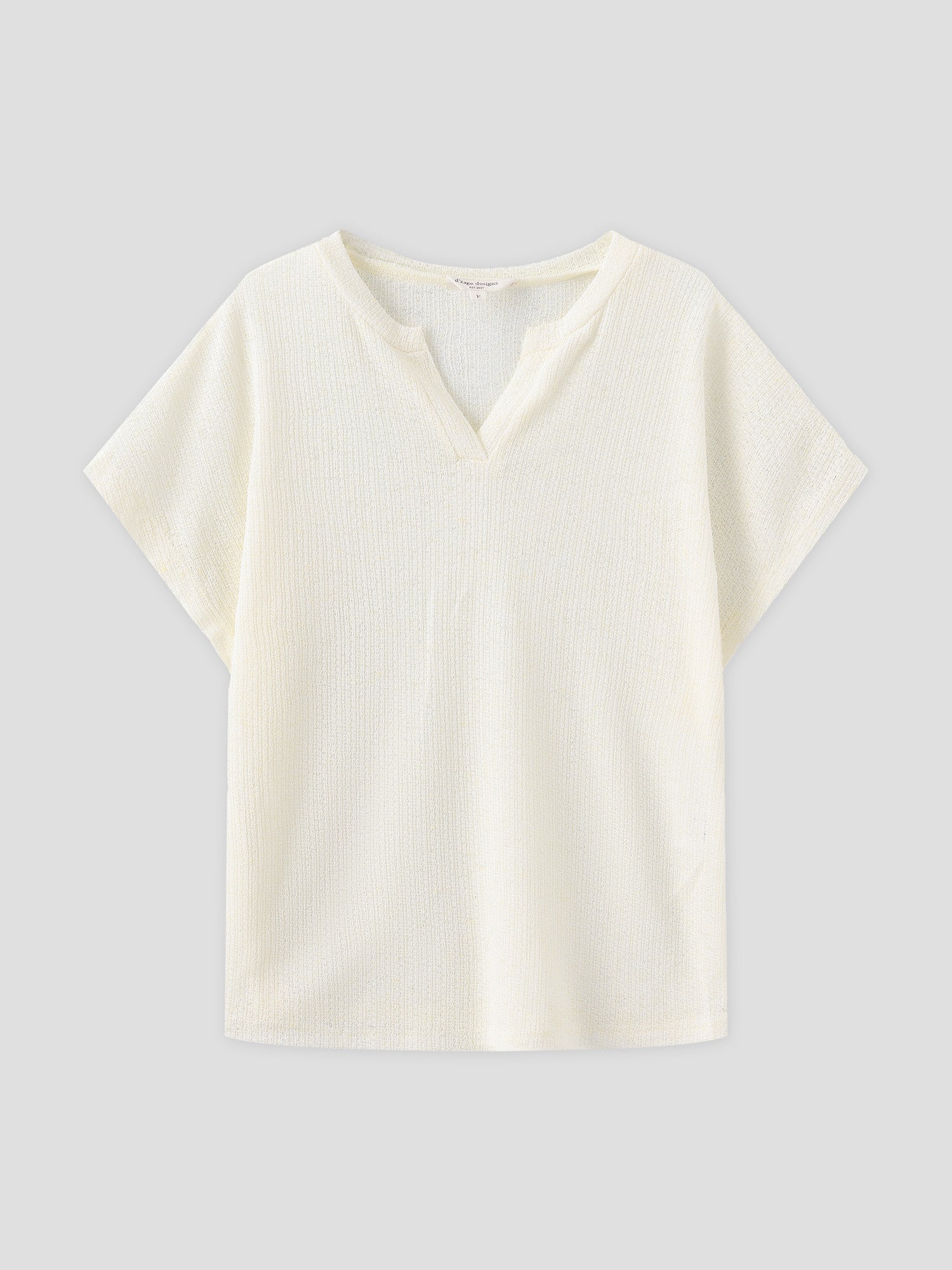 Semi Sheer V-Neck Top